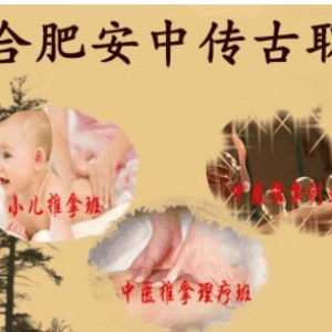 合肥安中传古职业培训学校机构标识