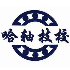 哈尔滨轴承技校机构标识