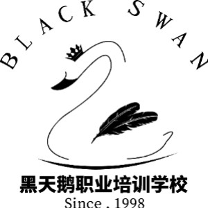 哈尔滨黑天鹅职业培训学校机构标识