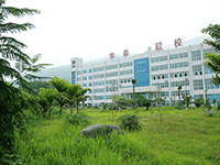 攀枝花市华森职业学校机构标识