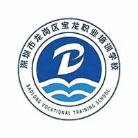深圳宝龙职业培训学校机构标识