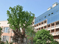 眉山卫生职业学校机构标识