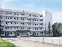 自贡市飞鱼职业学校机构标识