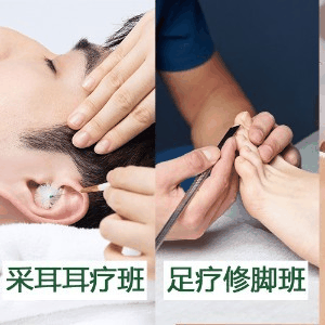 郑州舍艺职业培训学校机构标识