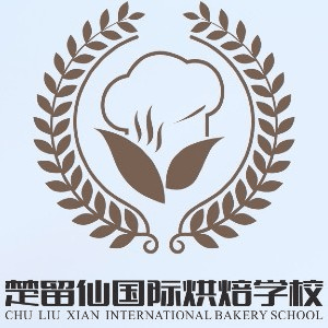 重庆中启职业培训机构标识