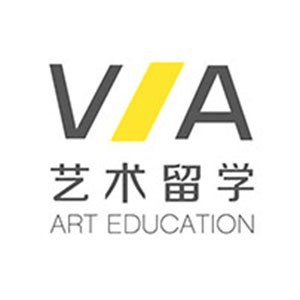 VA国际艺术教育(上海)机构标识