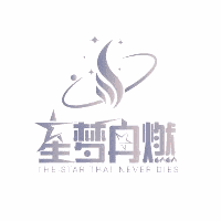 上海星梦冉燃艺术教育机构标识