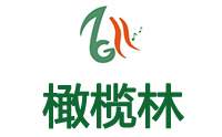 上海橄榄林文化艺术培训机构标识
