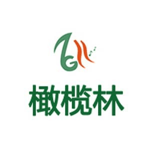 上海橄榄林艺考机构标识