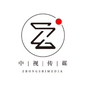 东莞中视传媒艺考机构标识