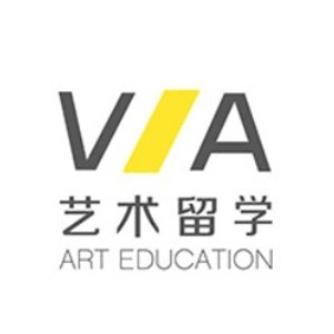 北京VA国际艺术教育机构标识