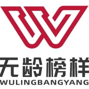 北京无龄榜样形体模特培训机构标识