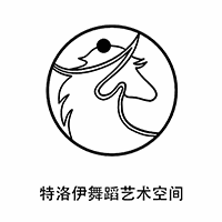 合肥特洛伊舞蹈艺术空间机构标识
