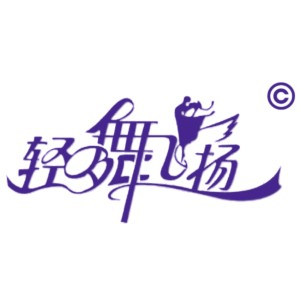 合肥轻舞飞扬艺术培训机构标识