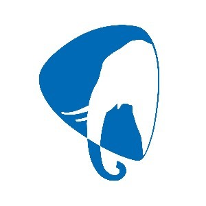 大象吉他俱乐部机构标识