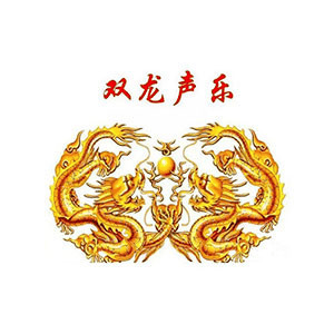 河南省双龙声乐艺术中心机构标识