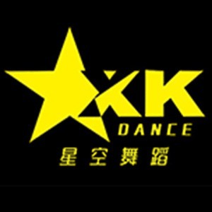 河南省星空舞蹈艺术中心机构标识