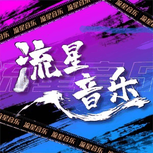 流星音乐唱歌钢琴吉他培训机构标识