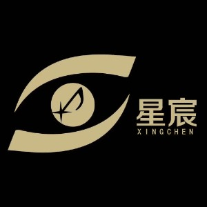 济南星宸艺术培训机构标识