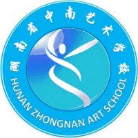 湖南省中南艺术学校机构标识