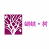 湖南蝴蝶树摄影化妆学校机构标识