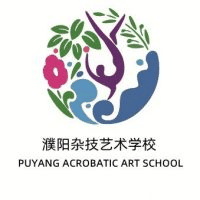 濮阳杂技艺术学校机构标识