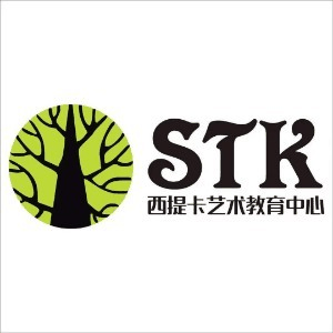 西安西提卡艺术教育机构标识