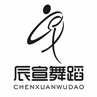 重庆辰宣艺术学校机构标识