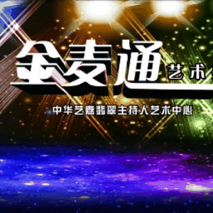 长沙金麦通主持培训机构标识
