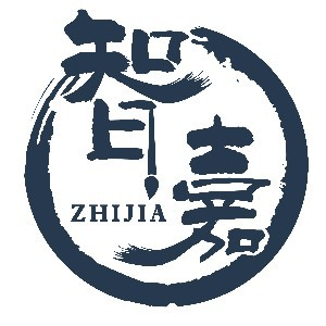 青岛智嘉艺术文化培训学校机构标识