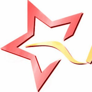 黑龙江星辉传媒艺术学校机构标识