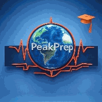 Peakprep国际语言培训工作室机构标识