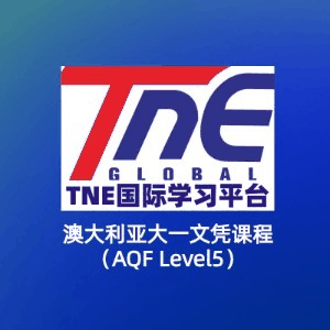 TNE跨境教育机构标识