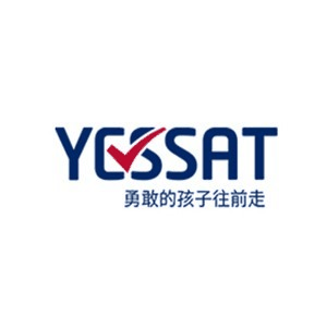 上海YESSAT机构标识