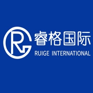 上海睿格国际教育机构标识