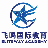 上海飞鸣国际教育机构标识
