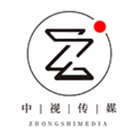 东莞中视传媒艺考培训学校机构标识