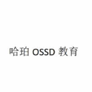 北师珠附外国际部(广州)机构标识