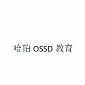 北师珠附外国际部(深圳)机构标识