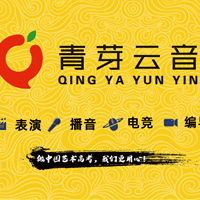 南京青芽云音传媒艺考培训学校机构标识