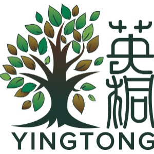 天津英桐国际教育机构标识