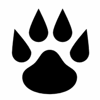 小白狐留学机构标识