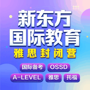 成都新东方国际教育机构标识