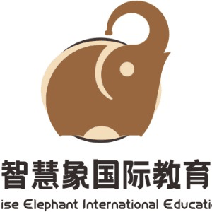 成都智慧象国际教育机构标识