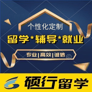 新疆硕行留学机构标识