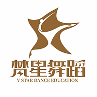 沈阳梵星舞蹈艺考培训学校机构标识