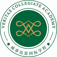 深圳威睿达思国际学校机构标识