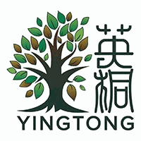 英桐国际教育机构标识
