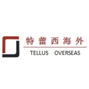郑州特蕾西海外机构标识