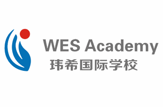 长沙玮希国际学校机构标识